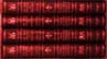 red law books