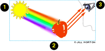 Diagrama