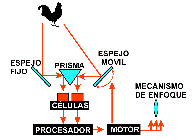 Comparaci&oacute;n de contrastes