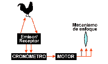 Enfoque por ultrasonidos
