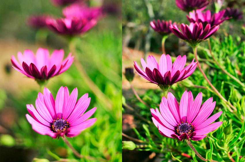 Different Apertures