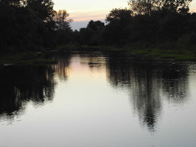Contornos das árvores ao pôr do sol