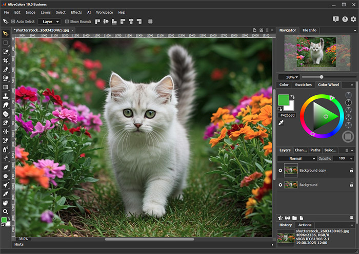 AliveColors graphic editor from AKVIS - overview of the user interface