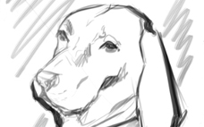 Digital Pet Portrait