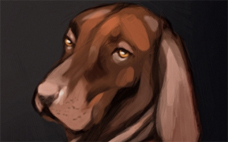 Digital Pet Portrait