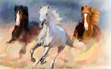 Pastel Gallery