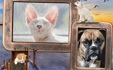 Retratos de mascotas