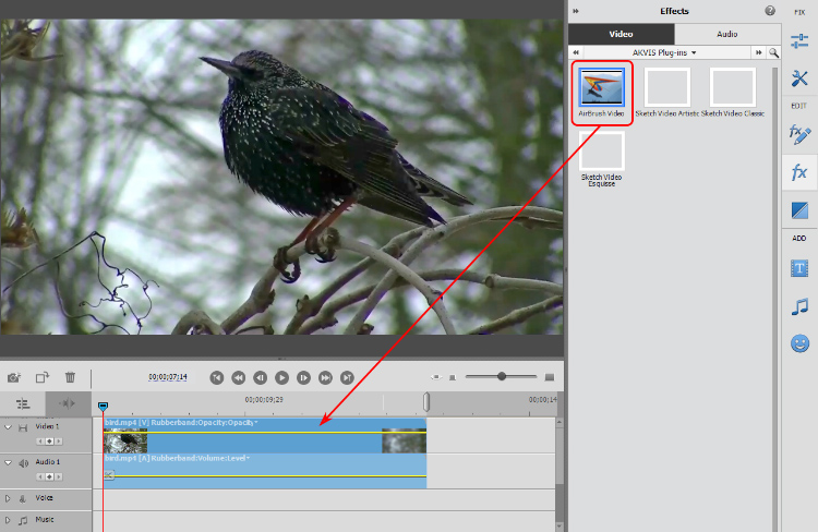 AirBrush Video in Adobe Premiere Elements