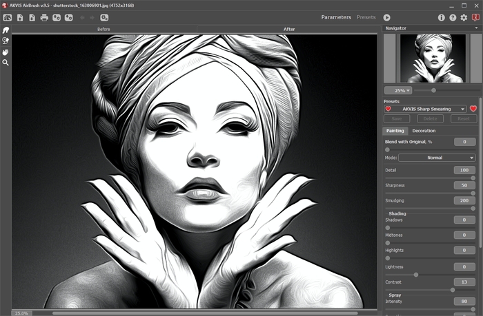 Workspace of AKVIS AirBrush (Parameters Mode)