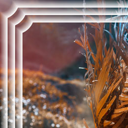 Circle Radius = 20% Circle Radius = 20%
