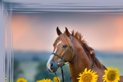 Numero di Striature = 150