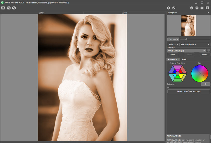 Adjusting Parameters of Black and White Effect