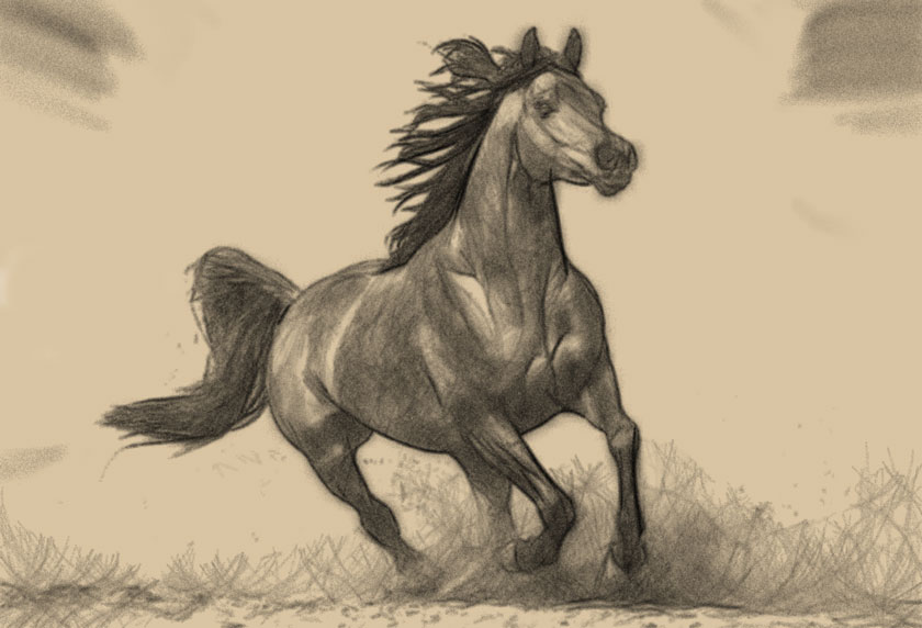Рисунок углём и мелом