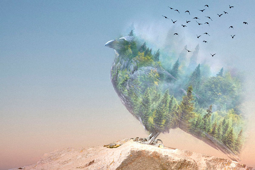 Double Exposure Effect
