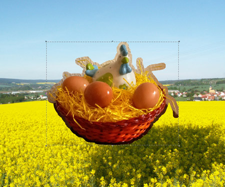 Окно плагина Хамелеон