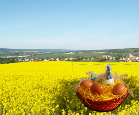 Перемещаем и уменьшаем изображение