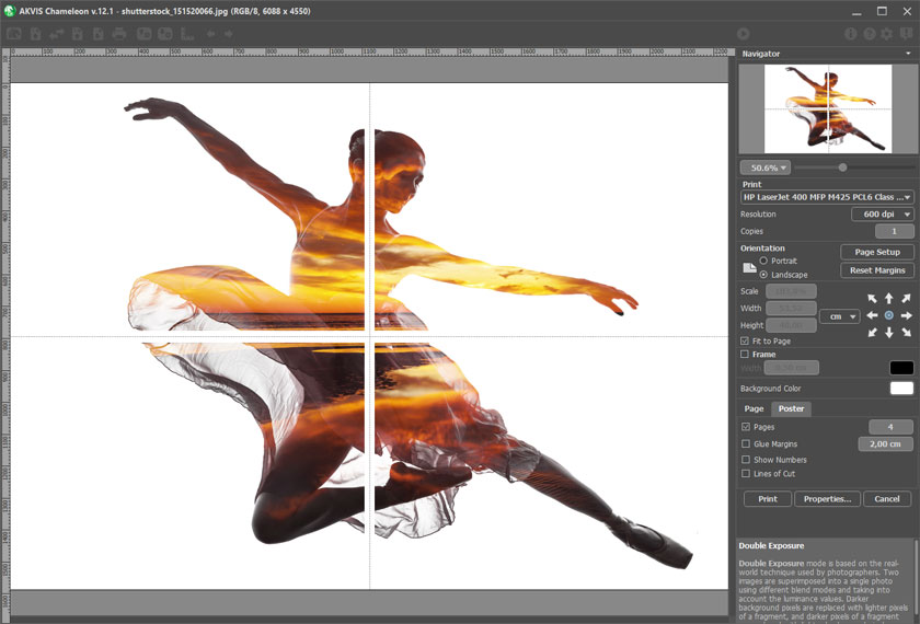 Large Format Printing on Multiple Pages