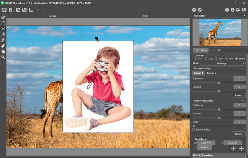 Arbeitsbereich von AKVIS Chameleon Plugin