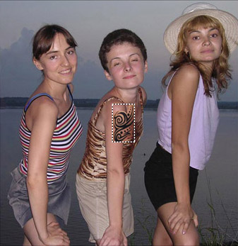 Окно плагина Хамелеон