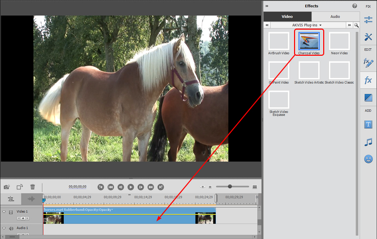 Charcoal Video in Adobe Premiere Elements