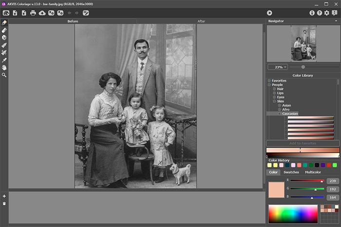 AKVIS Coloriage AI