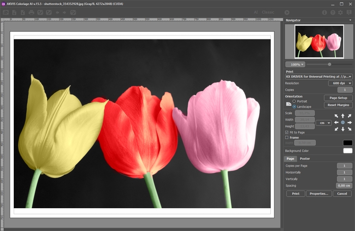 Print Options