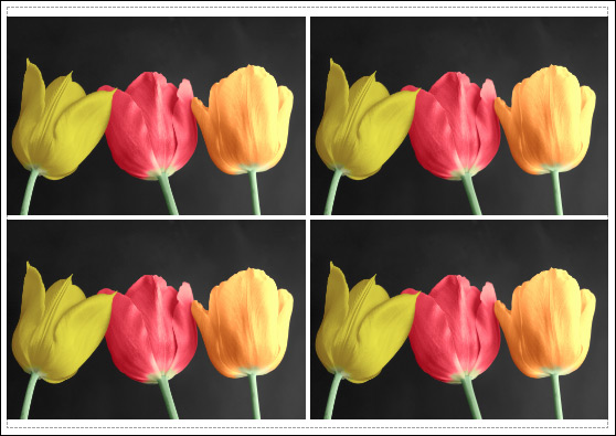 Image Copies Printing on a Single Page