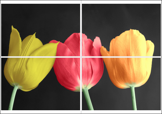 Large Format Printing on Multiple Pages