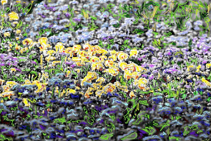 Traçar um contorno dentro das flores