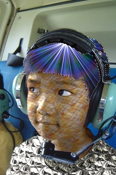 Haar