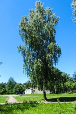 Исходное изображение