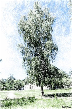 Цветной рисунок