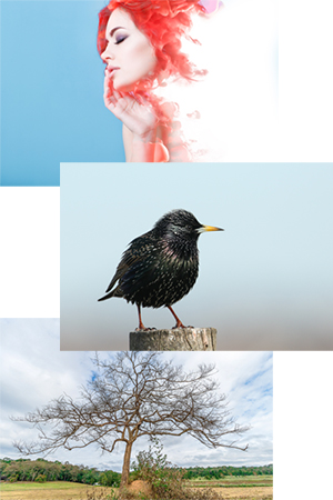 Ausgangsbilder