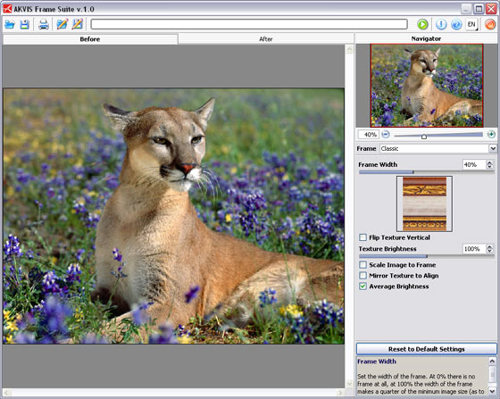 Animal photo