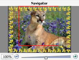 Navigator window