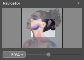 Navigator-Fenster