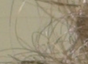 Simplicité petit