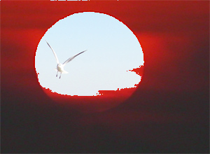 Revealing the bright pixels of the lower layer