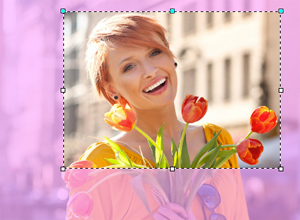 Utilisation de la couleur rose