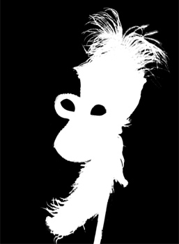 Schwarz-weiße Maske