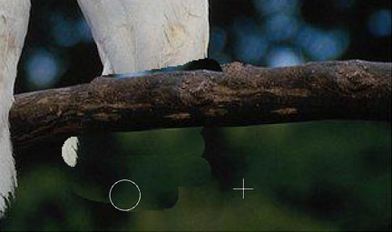 尾の削除l