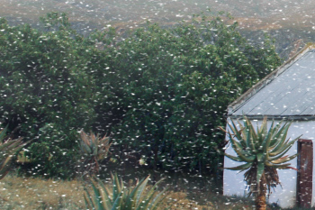 Horizontaler Schneefall