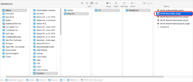 AKVIS Neon Video on Mac
