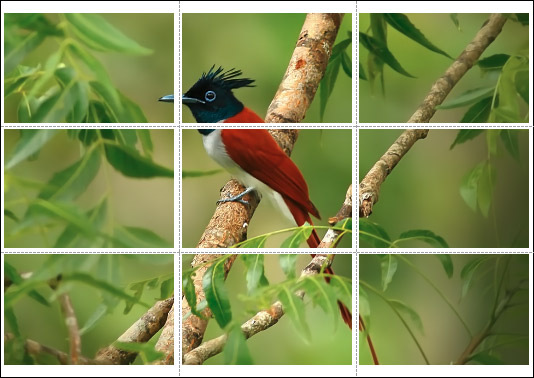 Impression d'une image sur plusieurs pages