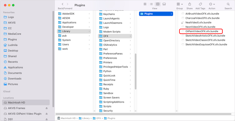Картина маслом для видео на Mac, папка для OpenFX плагинов