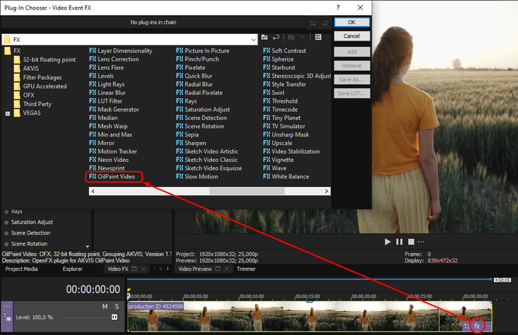 OilPaint Video in Vegas Pro