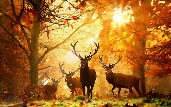 Pintura a óleo a partir da foto