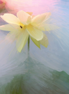 Pintura a óleo