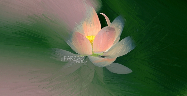 Pintura a óleo