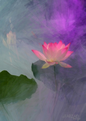 Pintura a óleo